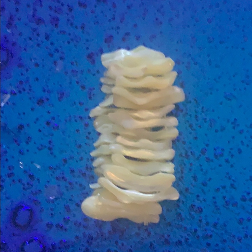 ✌🏽Beautiful Stretch 🏖Sea Shell bangle bracelet - Picture 2 of 4